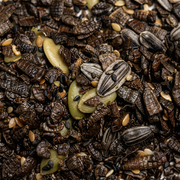 Granola Entofit - 130g